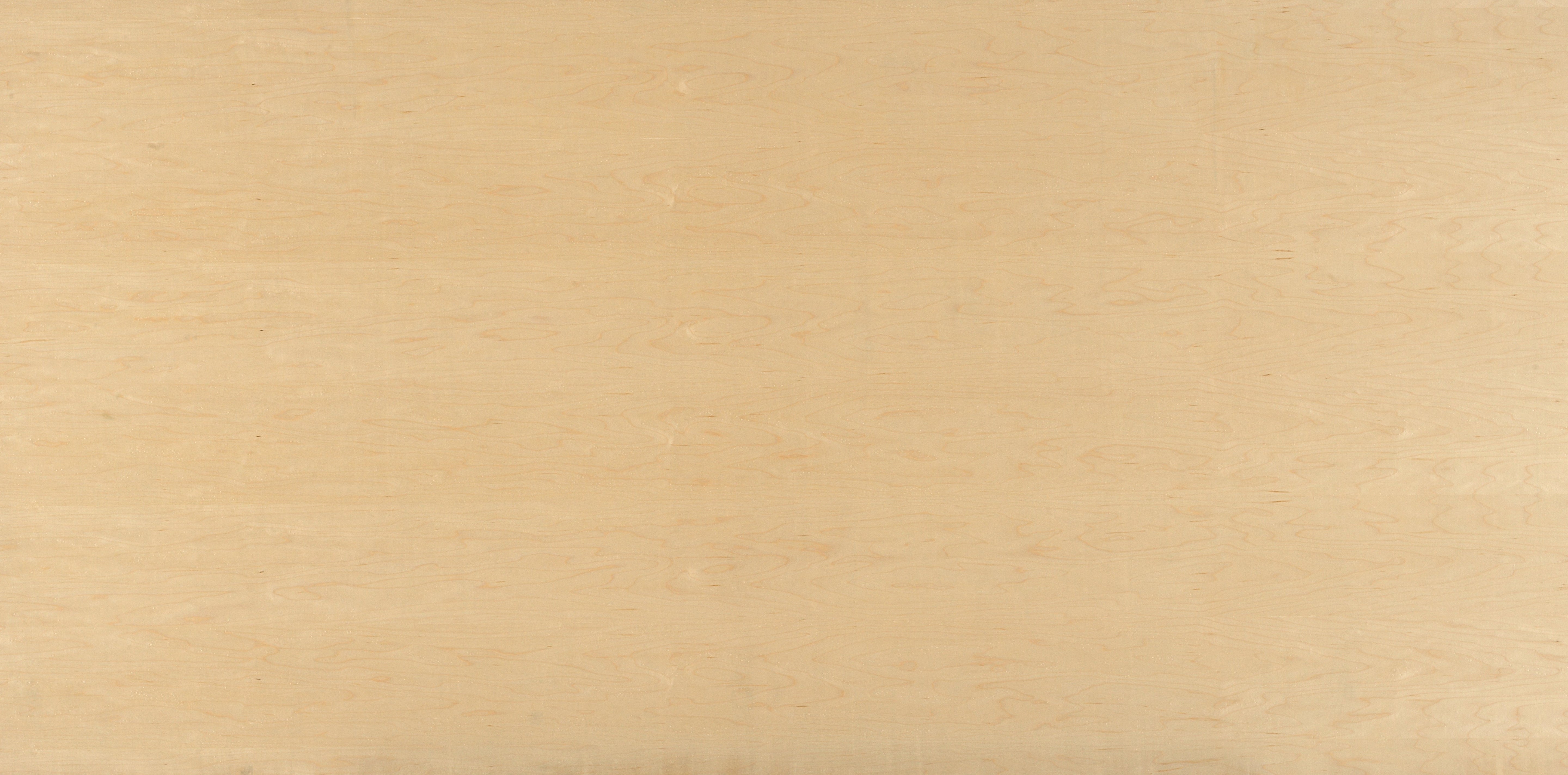 4x8 B2 Maple Plywood