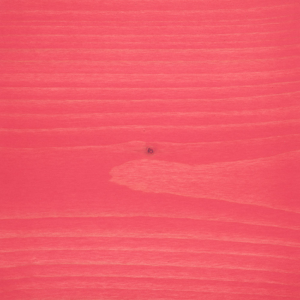 Hybrid Wood Protector 100 Milliliter