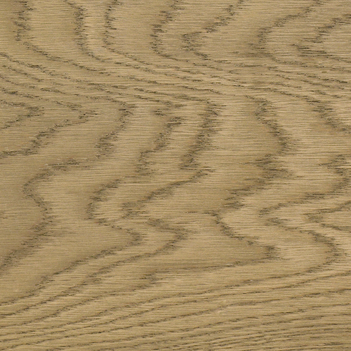 Precolor Easy 100 Milliliter