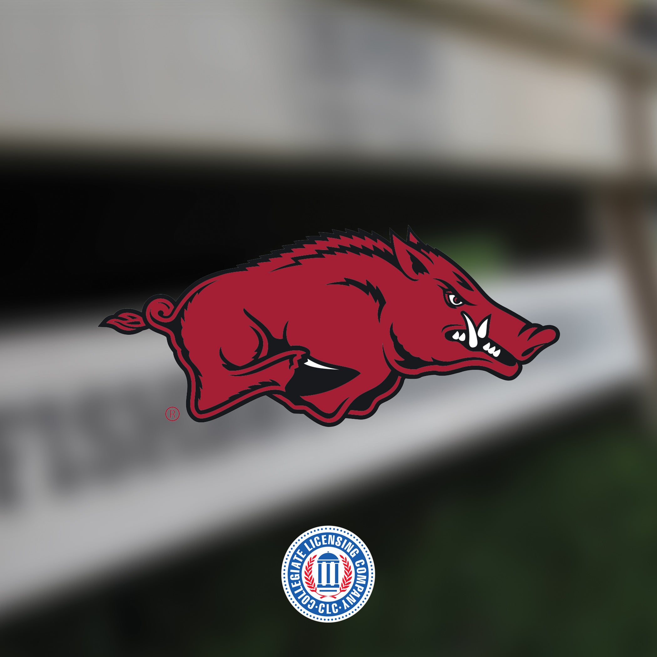 Custom Cornhole Boards