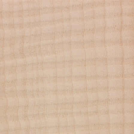 Maple (Curly)