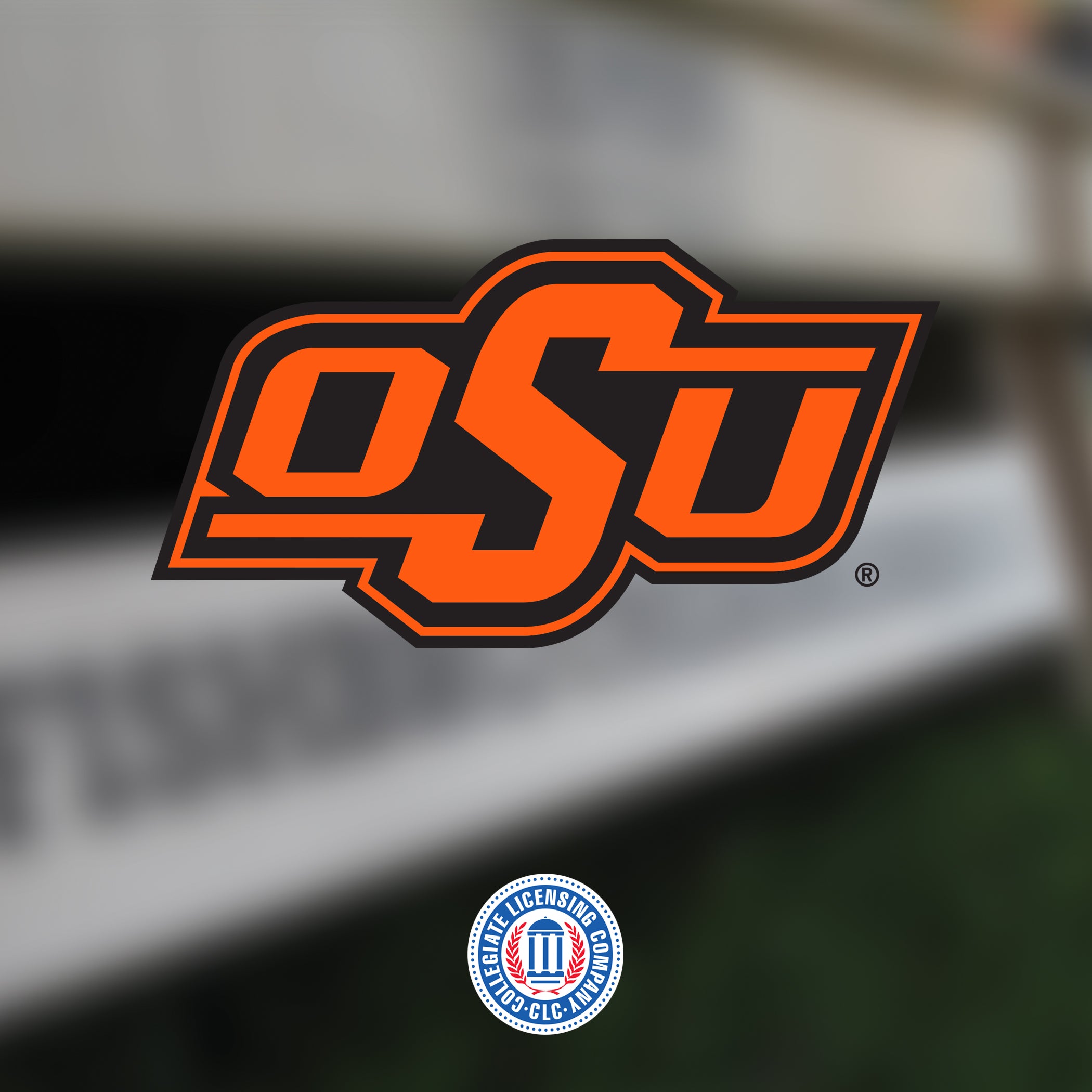 Custom Cornhole Boards